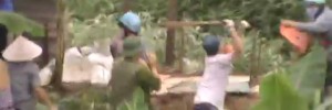 Vietnamese Land Activist Cấn Thị Thêu Has Braved Violence, Arrest and Prison